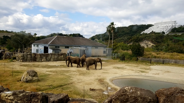 動物園